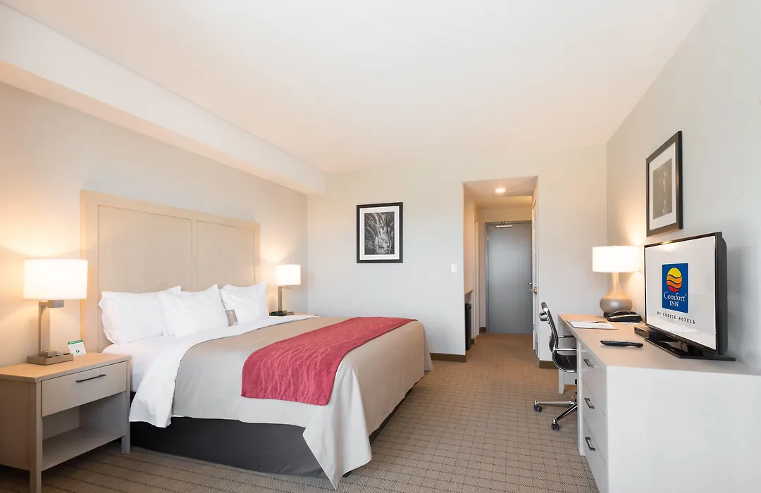 Comfort Inn & Suites-1