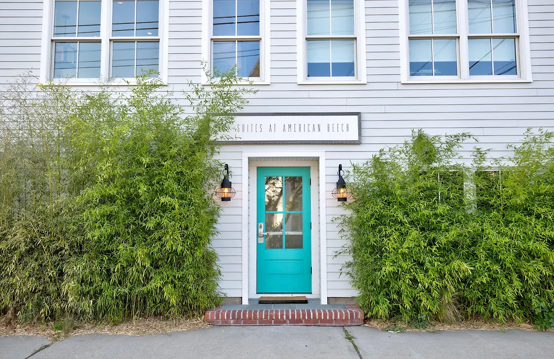 American Beech Hotel-1
