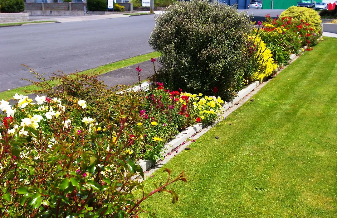 Totara Lodge Motel-1
