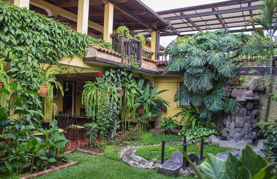Hotel Las Camelias Inn by AHS-1