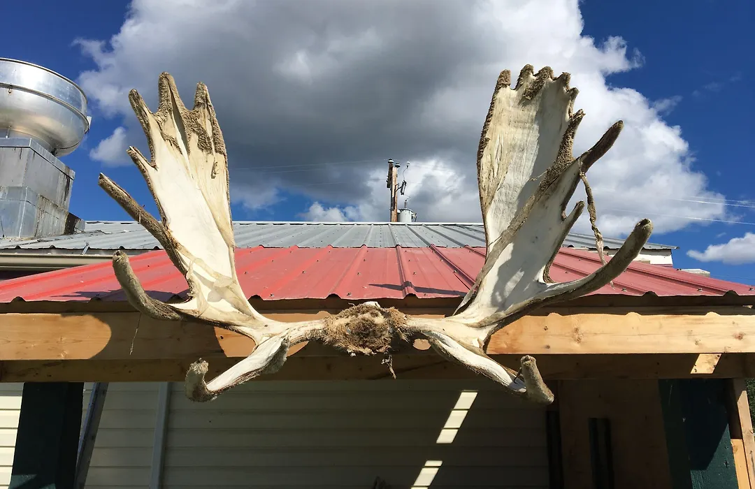Kluane Park Inn-1