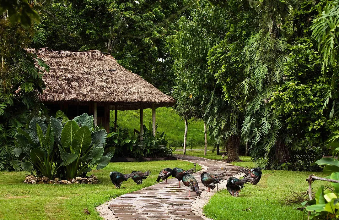 Chan Chich Lodge-1