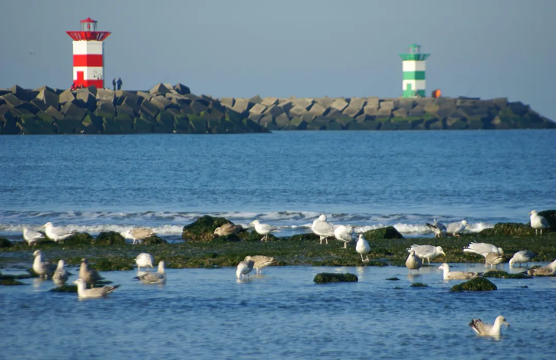 Boulevard Hotel Scheveningen-1
