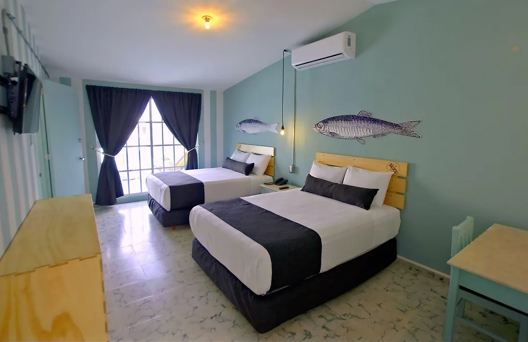 Mas Basico Hotel-1