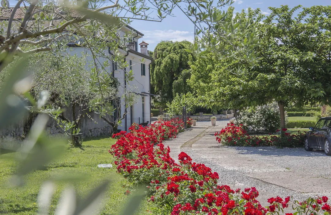 B&B Villa Nichesola-1
