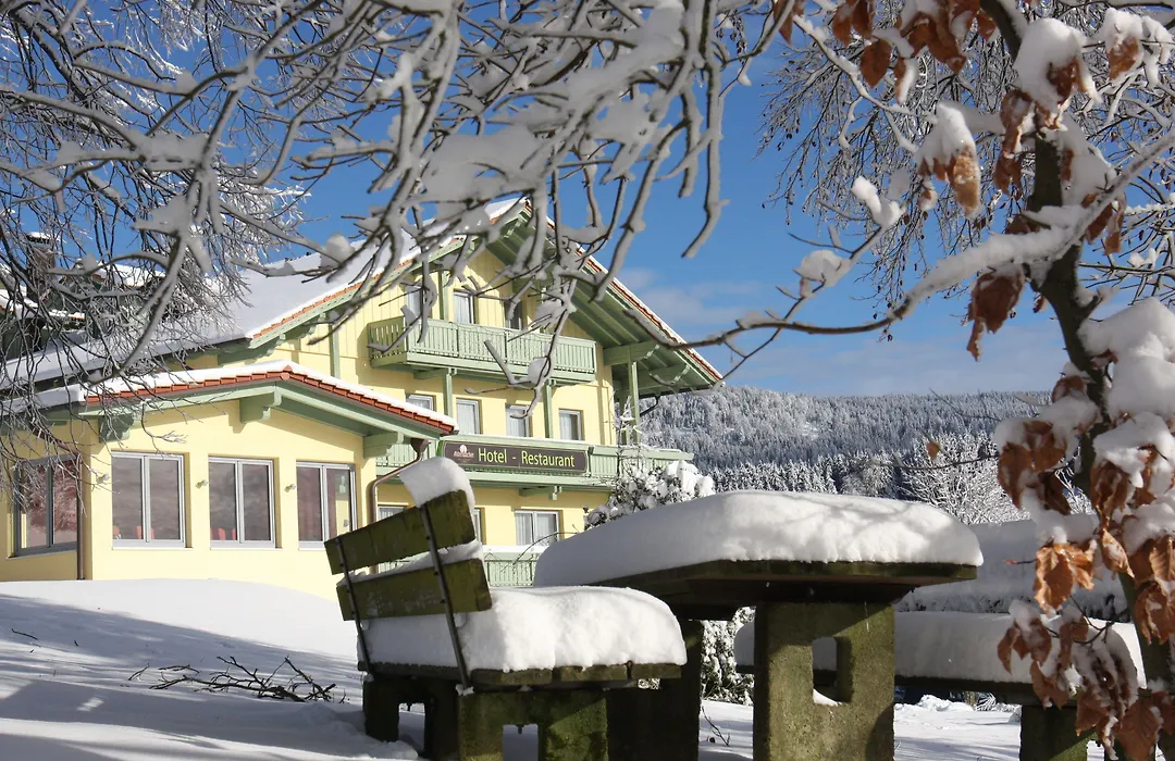 Gasthof Reiner-1