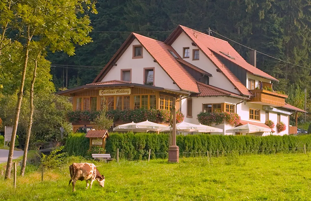 Gasthaus Hohberg-1