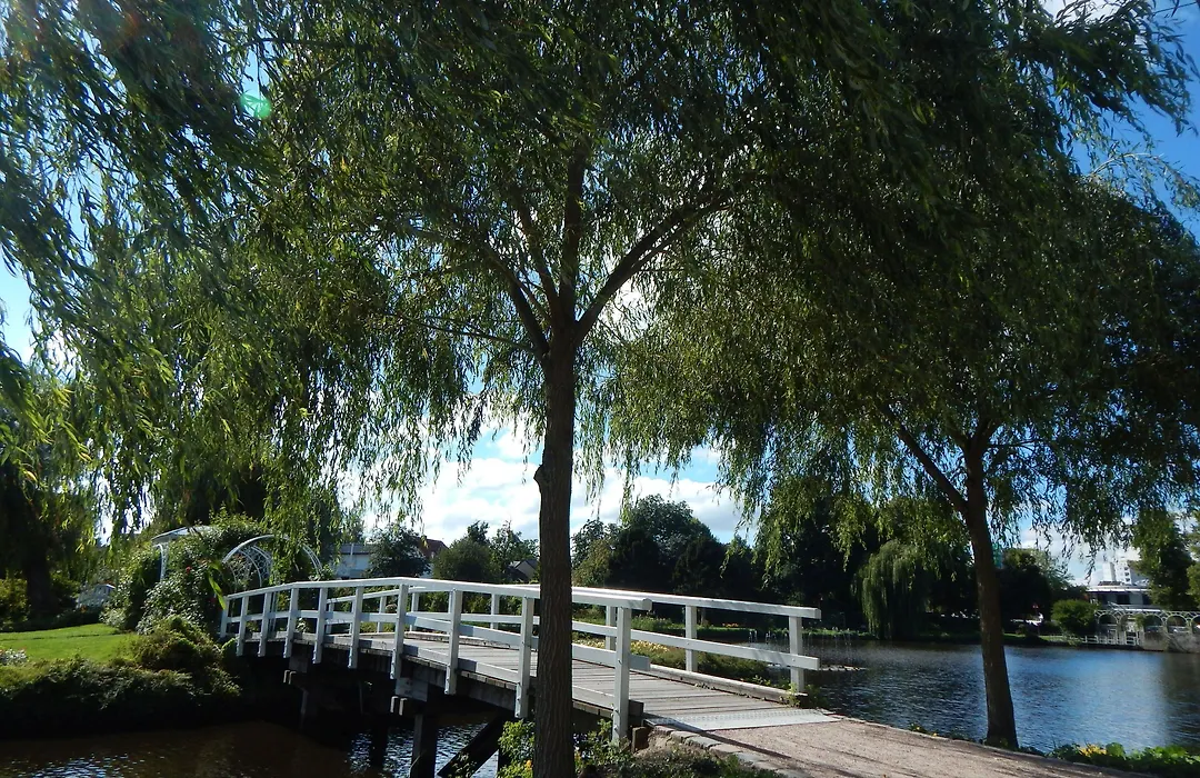 Parkhotel - Rosarium-1