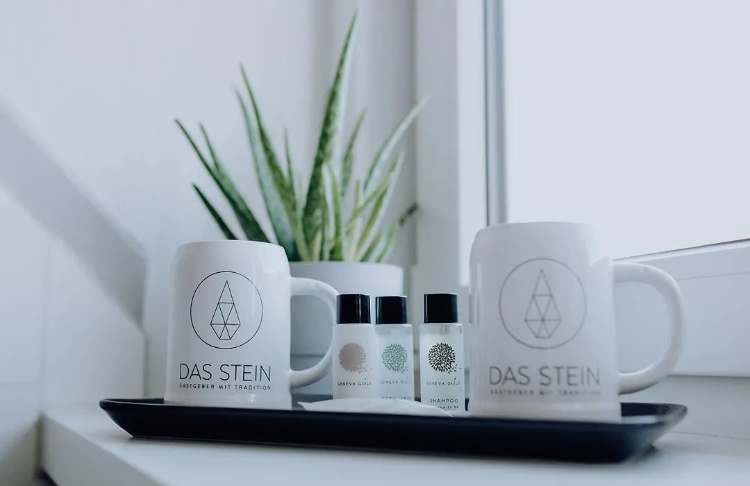 Das Stein-1