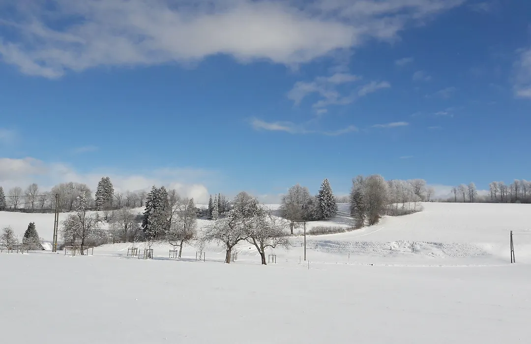 Landgasthof zur Post-1