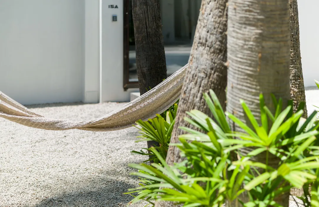 Drift San Jose Del Cabo, A Member Of Design Hotels-1