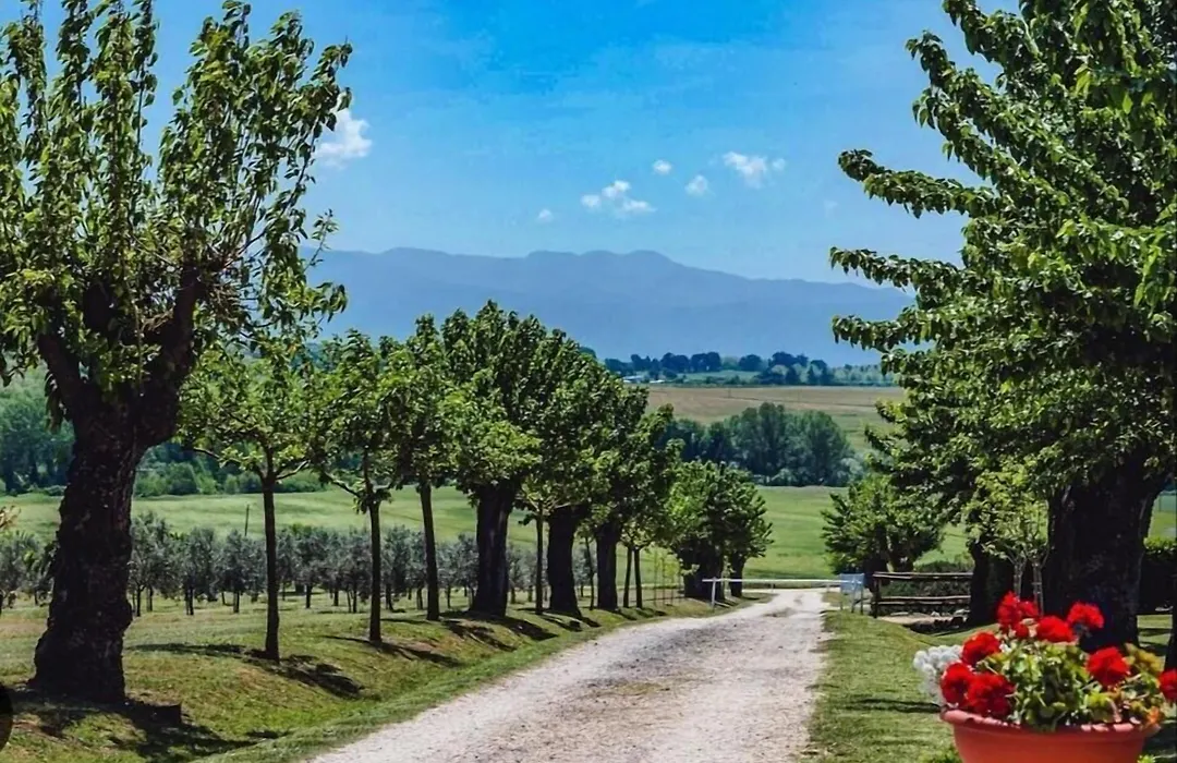 Relais di campagna la polledrara-1