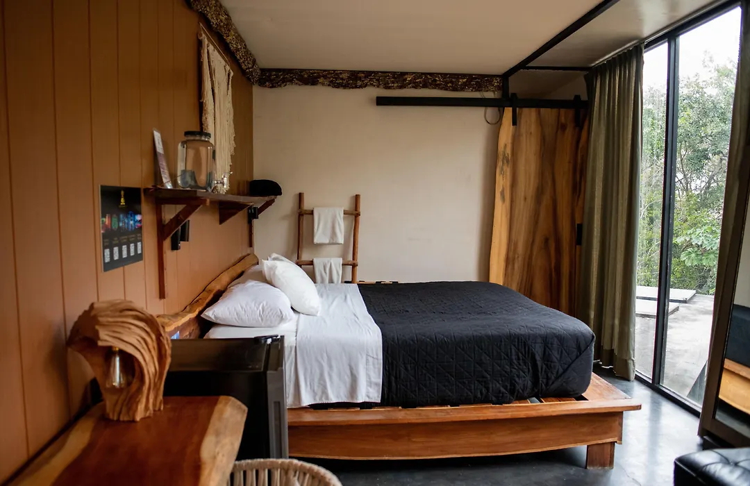 Bufo Alvarius-1