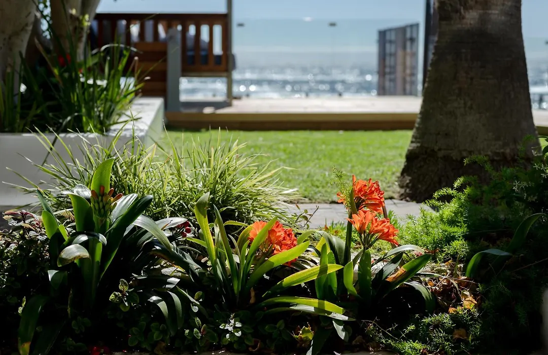 The Bay Hotel-1