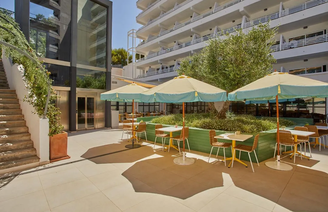 Alua Calvia (Adults Only)-1