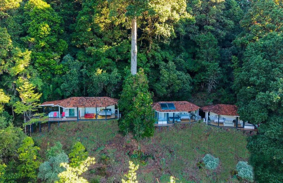 Dantica Cloud Forest Lodge-1