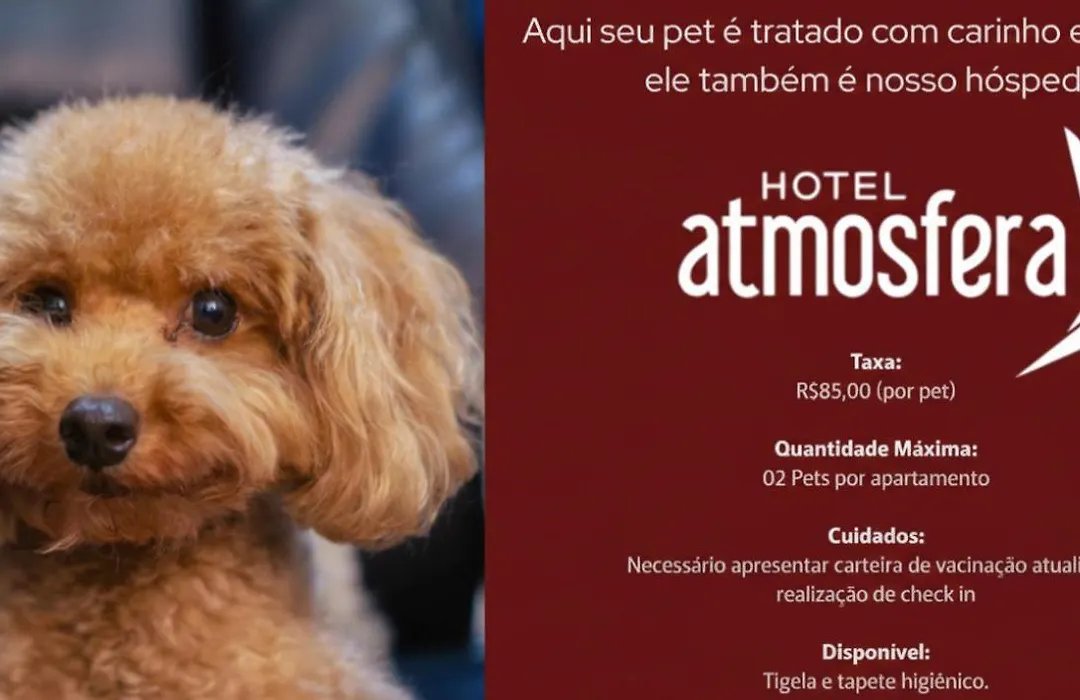 Hotel Atmosfera Feira de Santana-1