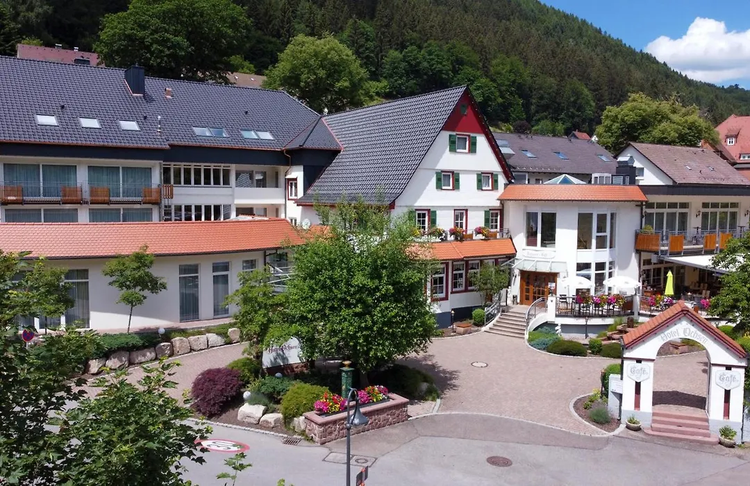 Hotel Ochsen-1