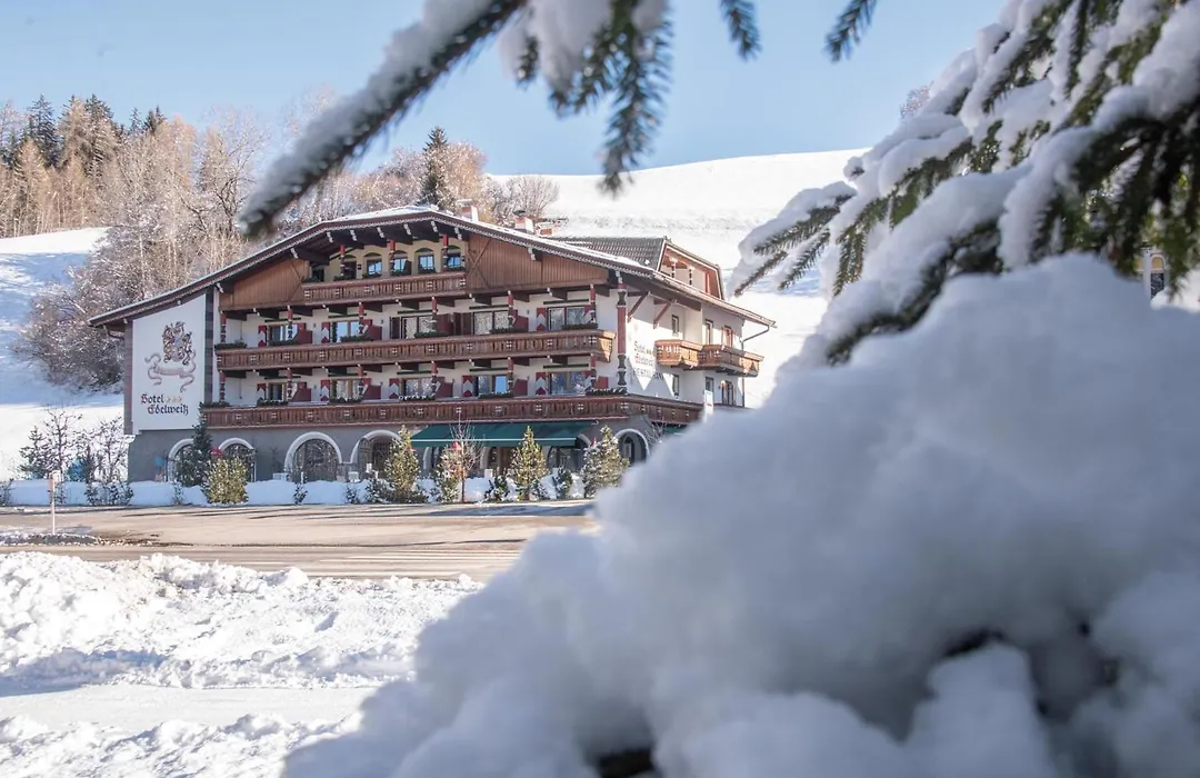 Hotel Edelweiss-1