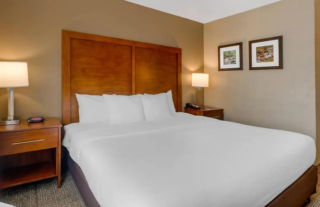 Comfort Inn & Suites Peachtree Corners - Norcross-1