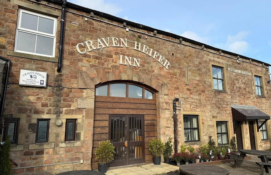 Craven Heifer-1