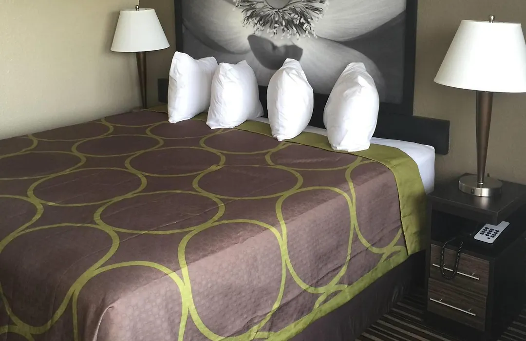 Super 8 By Wyndham Florence-1