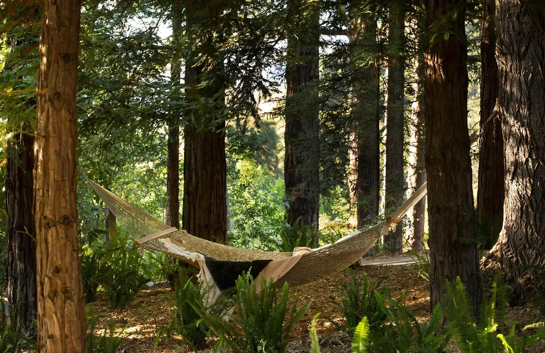 Alila Ventana Big Sur (Adults Only)-1