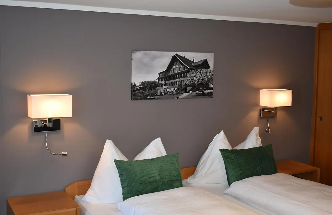 Hotel Friedheim Weggis-1