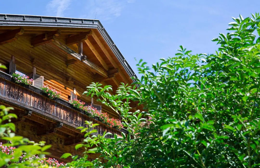 Hotel Waldruhe-1