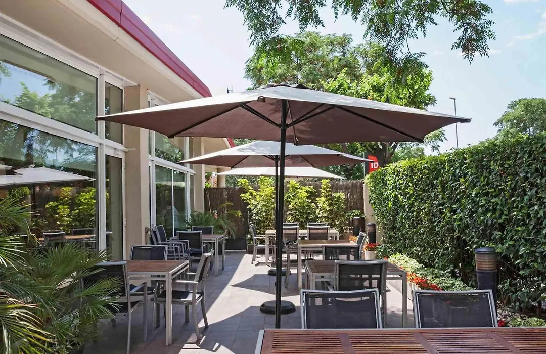 Ibis Cornella-1