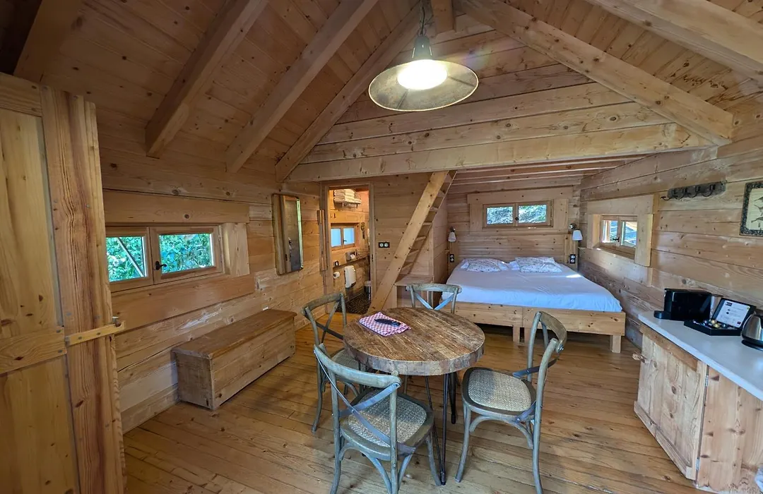 Les Cabanes Dans Les Bois-1