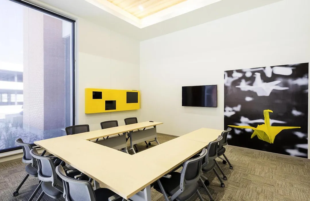 Ibis Torreon-1