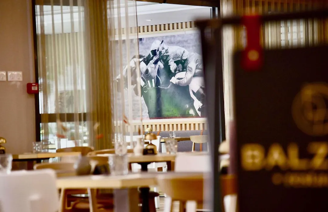 ibis Maisons Laffitte-1