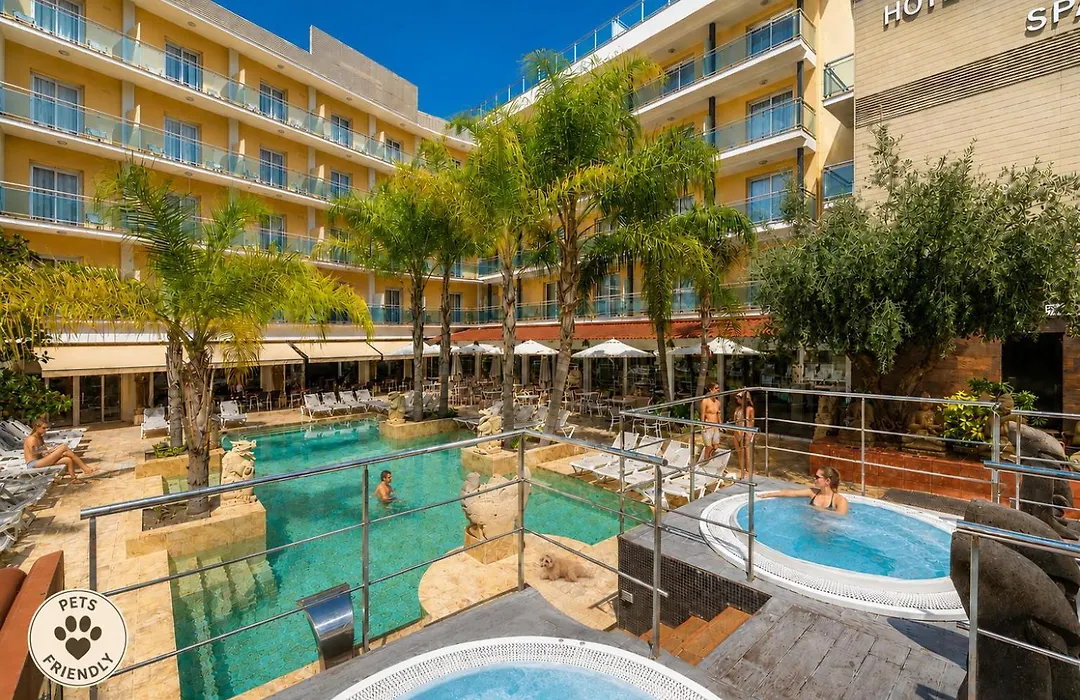 Hotel la Palmera&Spa-1