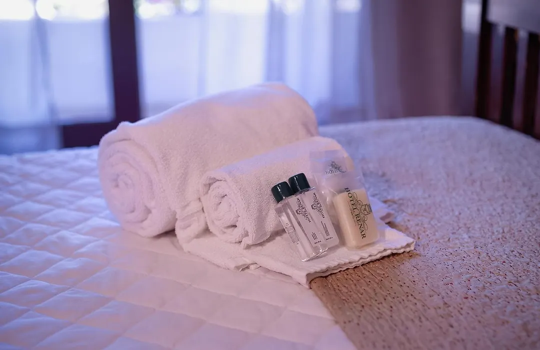 Hotel Renar-1