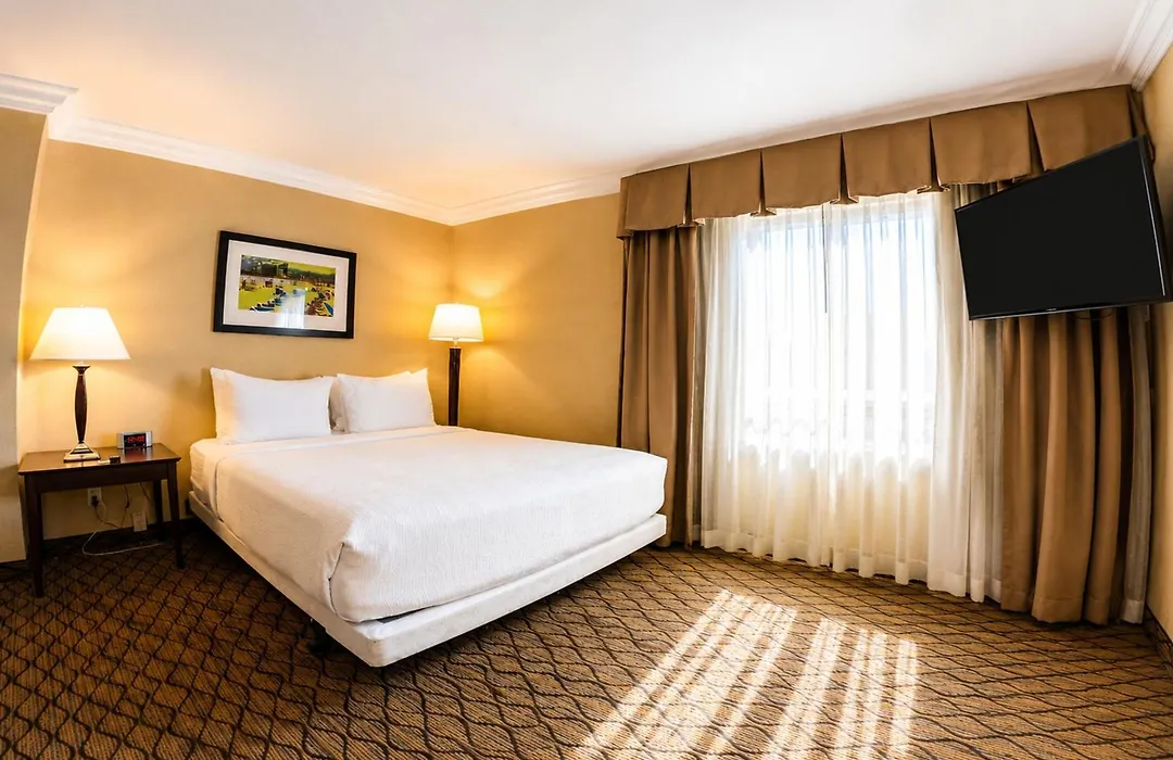 The Volare, An Ascend Collection Hotel-1