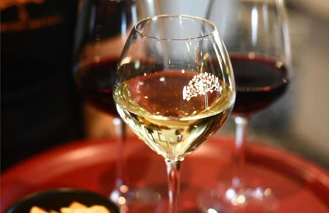 ibis Beaune La Ferme Aux Vins-1