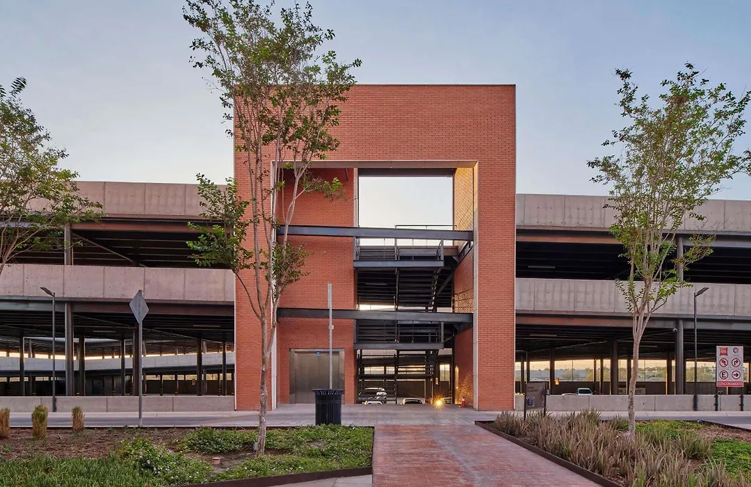 Ibis Torreon-1