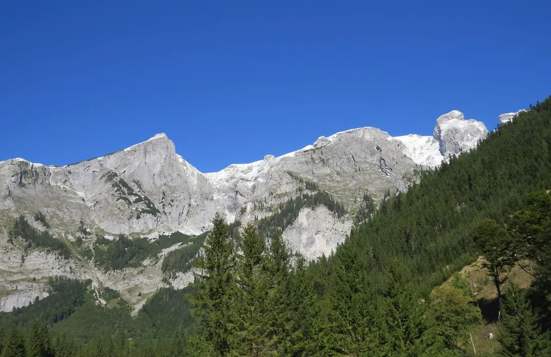 der bodenbauer-1