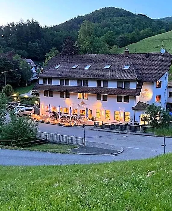 Hotel Sonne-1
