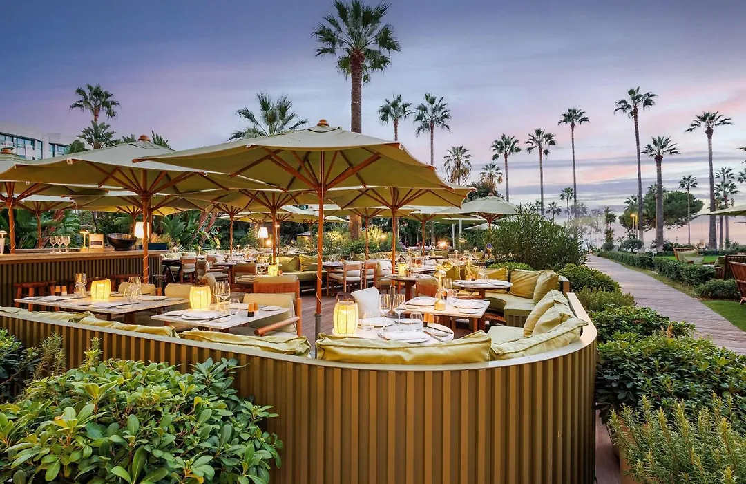 Mondrian Cannes-1