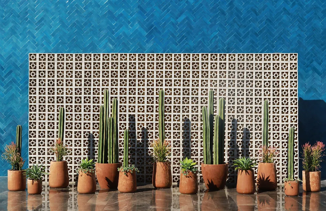 voco - Guadalajara Neruda, an IHG Hotel-1