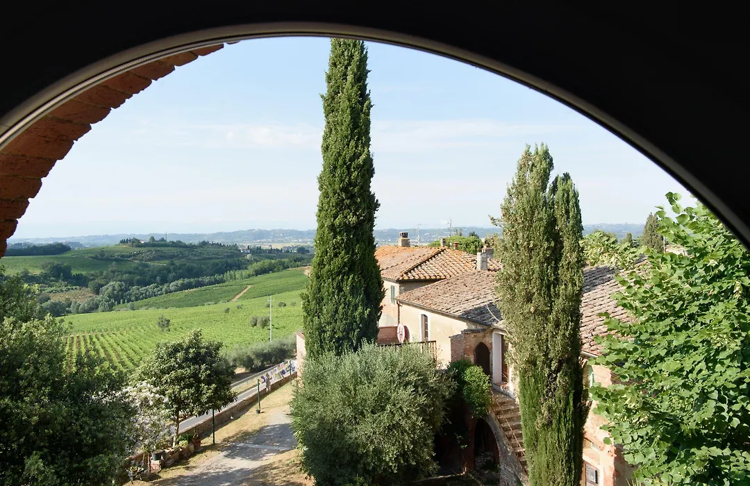 Laqua Vineyard-1