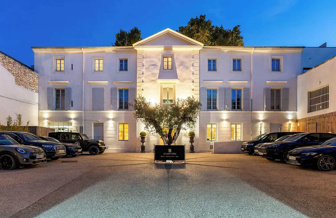 Hôtel Le Saint Remy&Spa-1
