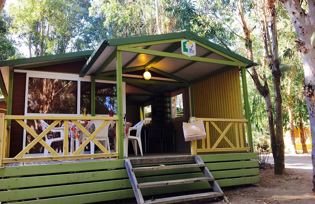 Camping La Pinède-1