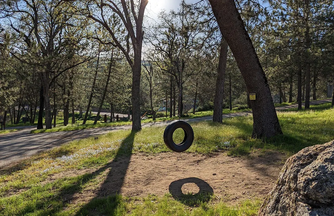 Sequoia Resort-1