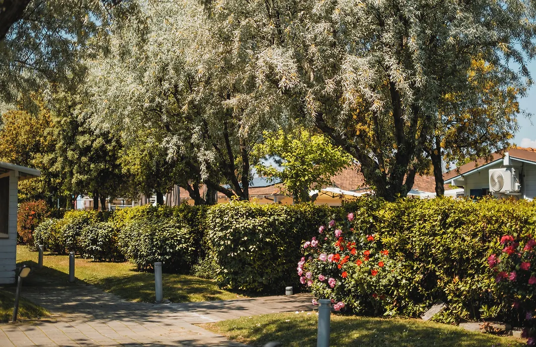 Natural Village Resort-1