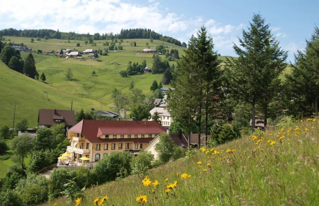 Grüner Baum Naturparkhotel&Schwarzwald-Restaurant-1
