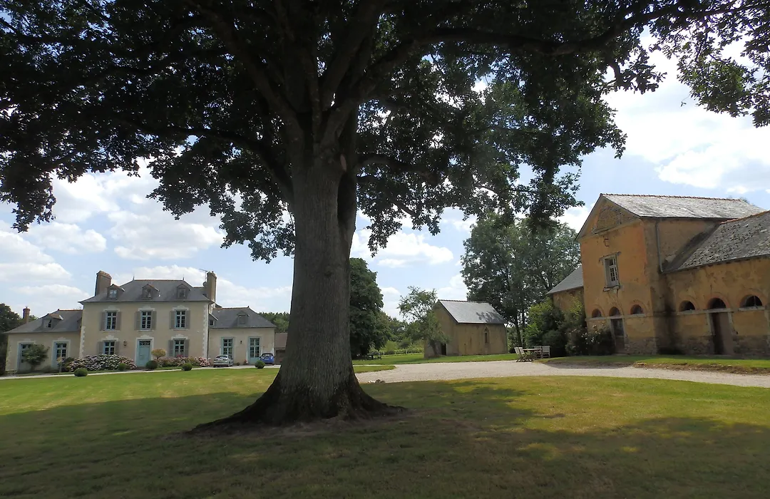 Château Du Pin - Les Collectionneurs-1