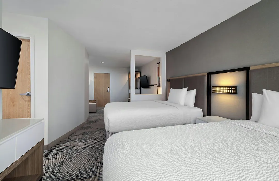 Springhill Suites Dallas Arlington North-1
